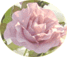 Blumenlogo
