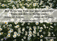 Mit Elfen und Feen vom reichgedeckten Tisch Gottes leben - Kochen mit Kraeutern und Heilen mit Steinen